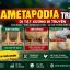 AMETAPODIA TRÊN GÀ: DỊ TẬT DI TRUYỀN GÂY BẤT THƯỜNG NGHIÊM TRỌNG Ở CHI
