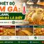 Nhiệt độ úm gà: nóng hay lạnh, nhìn đàn gà là biết