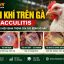 VIÊM TÚI KHÍ TRÊN GÀ (AIRSACCULITIS)